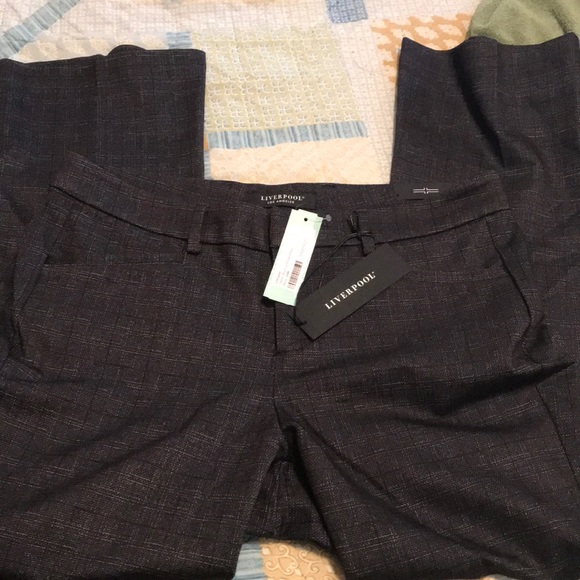 liverpool harper bootcut pant